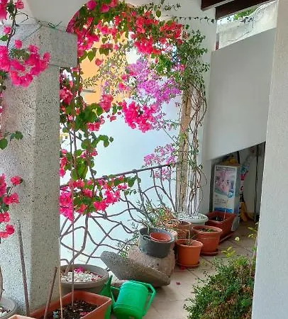 Alberto דירה אולביה