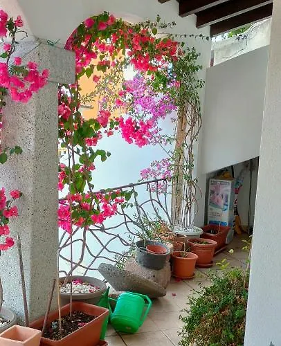 Alberto Apartman Olbia